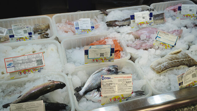 pescaderia urbano