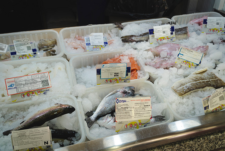 pescaderia urbano