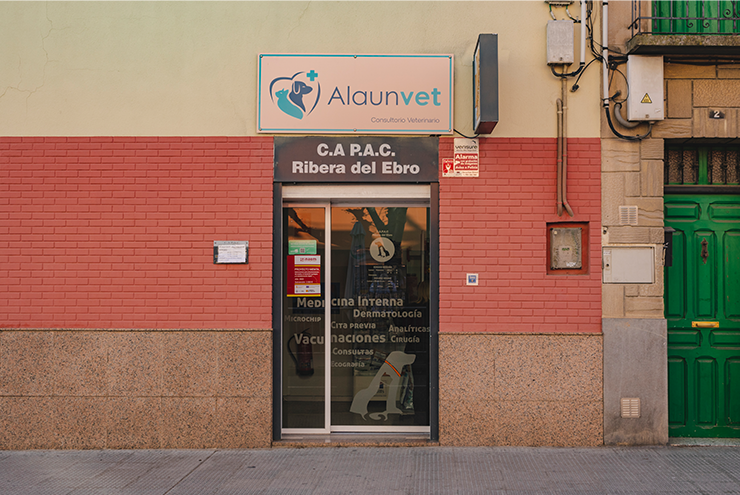 alaunvet
