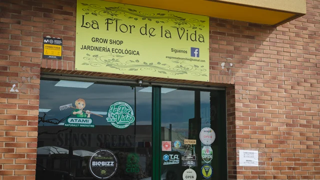 flor de la vida