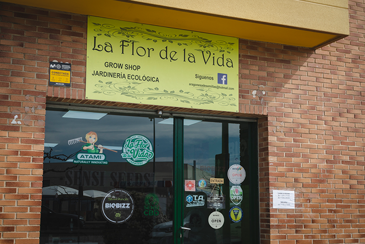 flor de la vida