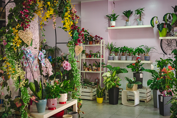 floristeria olga